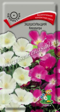 Эшшольция Клеопатра (ЦВ) (