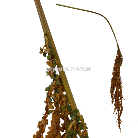 Иск.цветы Амарант оранжевый h120см