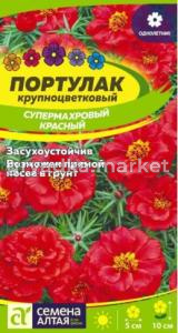 Скриншот 20-08-2026 133338