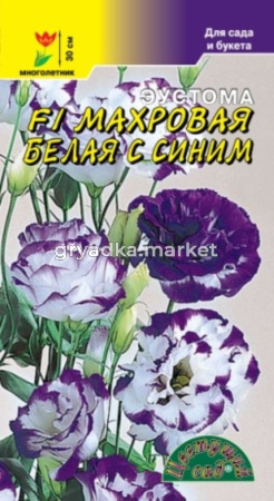 Эустома F1 Махровая белая с синим Цвет.сад.