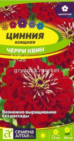 Цинния Черри Квин , георгин. 0,3г.-Сем.Алт