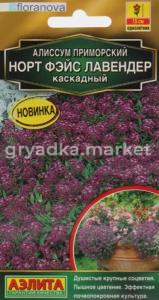 Алиссум Норт фэйс лавендер каскадный 10шт Одн 15см (Аэлита)