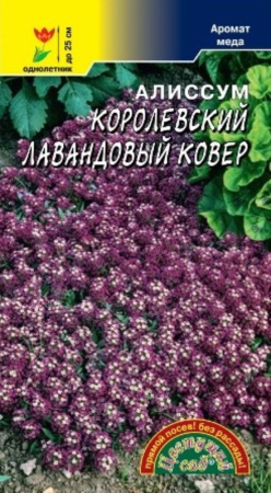 Алиссум Лавандовый ковер Королевский (Цвет сад) Алиссум Лавандовый ковер Королевский (Цвет сад)