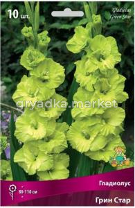 Гладиолус Грин Стар 10шт 10-12