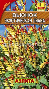 Вьюнок Экзотическая лиана ,звездч. Аэл.