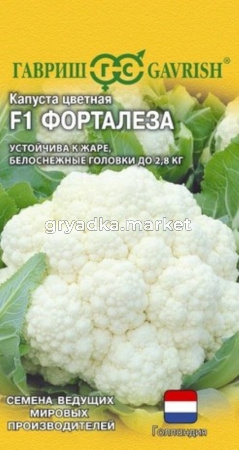 Капуста цветная Форталеза F1 10шт Ср (Гавриш) Голландия