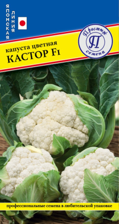 Капуста цветная Кастор F1 7шт СрРан (Престиж)