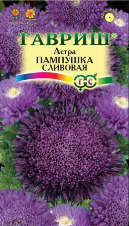 Астра Пампушка сливовая 0,3г Гавриш