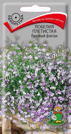 Лобелия Лиловый фонтан плетистая 0,1г. Поиск