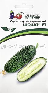Огурец Шоша F1 5шт Парт Ранн (Партнер)