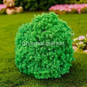 Туя западная Тедди C 7,5 20-30 1