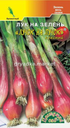 Лук на зелень Лучок на Пучок 0,5г. (красный) Цвет.Сад. 