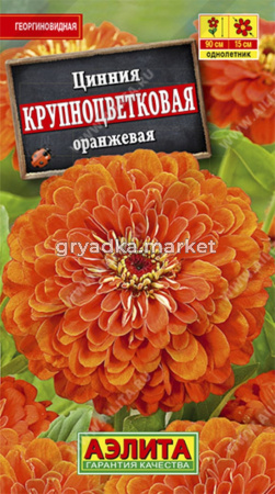 Цинния Крупноцветковая Оранжевая Аэлита