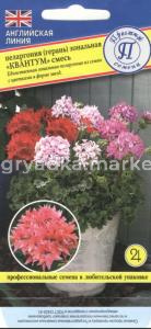 Пеларгония Квантум смесь зон 3шт (Престиж)