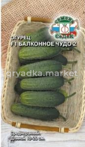 Огурец Балконное чудо 2 F1 0,2г Парт Ранн (Седек) 