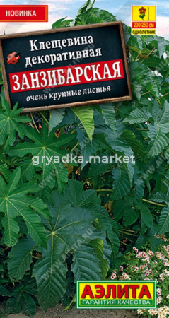 Клещевина Занзибарская (Аэлита)