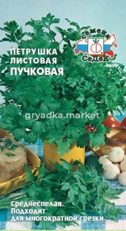 Петрушка Пучковая листовая 2г Ср (Седек)
