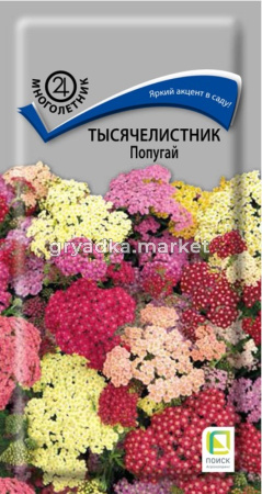 Тысячелистник Попугай (ЦВ) (