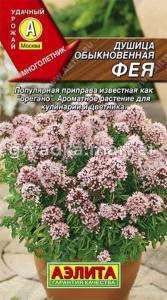 Душица обыкновенная Фея Аэлита