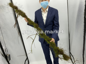 Искусственные цветы Ветка со мхом  