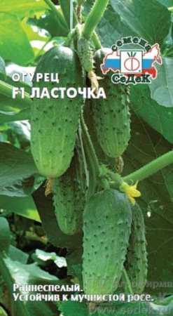 Огурец Ласточка F1 0,3г. (Седек)