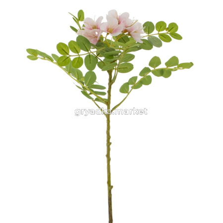 59