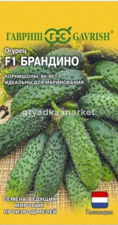 Огурец Брандино F1 5шт Парт Ранн (Гавриш) Голландия 