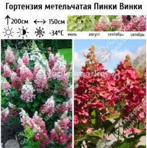 Скриншот 16-04-2026 100510