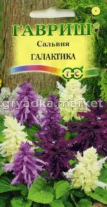 Сальвия Галактика карлик смесь 8шт Гавриш