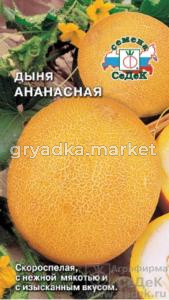 Дыня Ананасная -средн- (Седек)