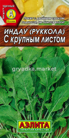 Рукола (индау) с крупным листом Аэлита