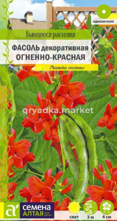 Фасоль вьющаяся Огненно-красная-Сем Алт-цп 5 гр. Вьющиеся растения