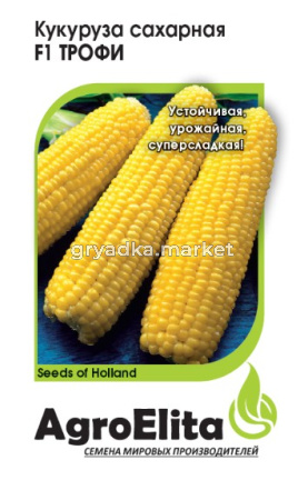 Скриншот 22-04-2026 093101