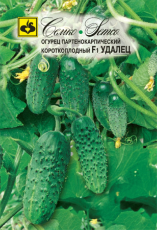 Огурец Удалец F1,Парт,без горечи,холод, Семко