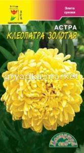 Астра Клеопатра Золотая Цвет.сад