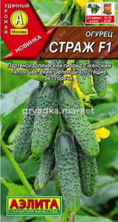Огурец Страж F1 10шт Партен Ранн (Аэлита)
