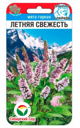 Мята Летняя свежесть 0,04гр (Сиб Сад)