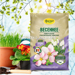 Фаско весенее 2