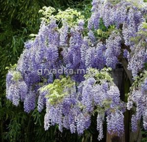 Скриншот 21-04-2026 145912