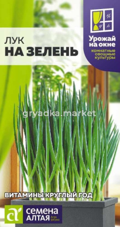 Лук на зелень 0,5г (Сем Алт)