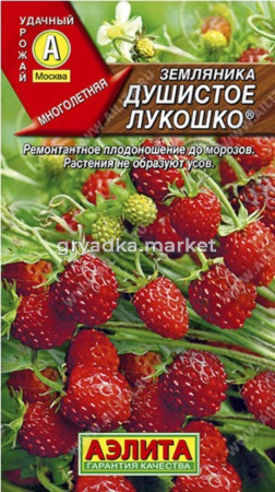 Земляника Душистое лукошко ремонтантная 0,03г (Аэлита)