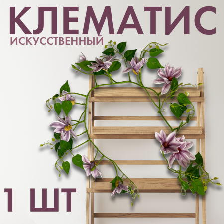 клематисфи2 клематисфи2