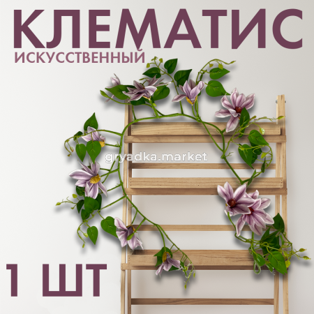клематисфи2