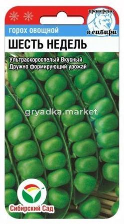 Горох 6 недель 5г (Сиб Сад)