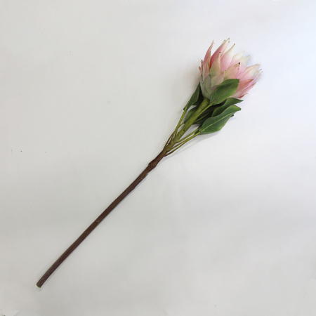 ЦВЕТЫ 4.2 ЦВЕТЫ 4.2