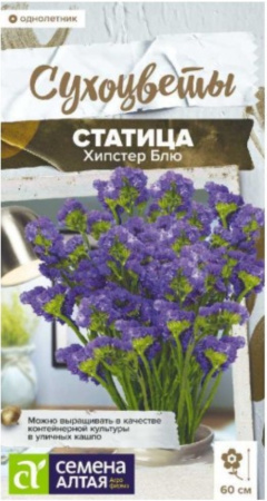 Статица Хипстер Блю 5 шт Одн 60см (Сем Алт) Сухоцветы