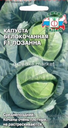 Капуста б-к Лозанна F1-среднепозд.УСТОЙЧИВ К БАКТЕРИОЗУ- Седек 