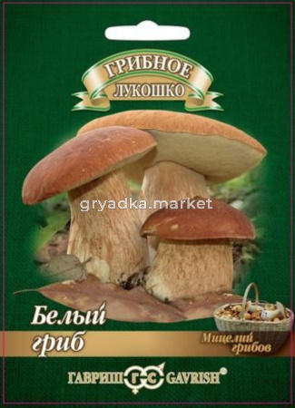Белый гриб на зерновом субстрате 15 мл (Гавриш)