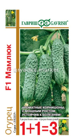 Огурец Мамлюк F1 20шт Парт Ранн (Гавриш) автор 1+1 Н23