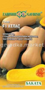 Тыква Атлас F1 5шт.-мускат,с сах.мякотью- (Саката) Гавриш